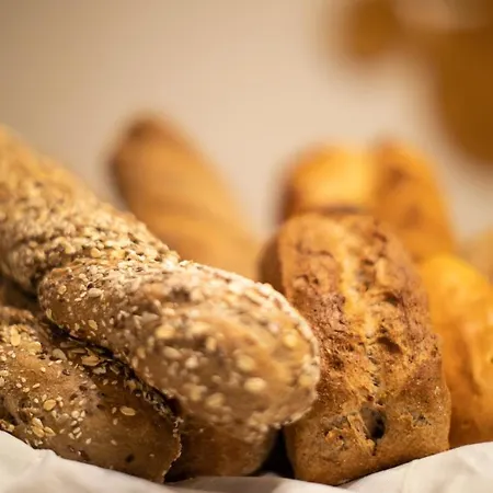 酒店 奇萨塞莱酒店 3*