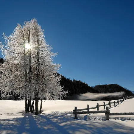 酒店 奇萨塞莱酒店 3*