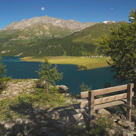 奇萨塞莱酒店 酒店