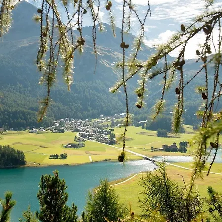 奇萨塞莱酒店 酒店