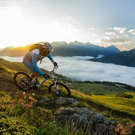 奇萨塞莱酒店 席尔瓦普拉纳