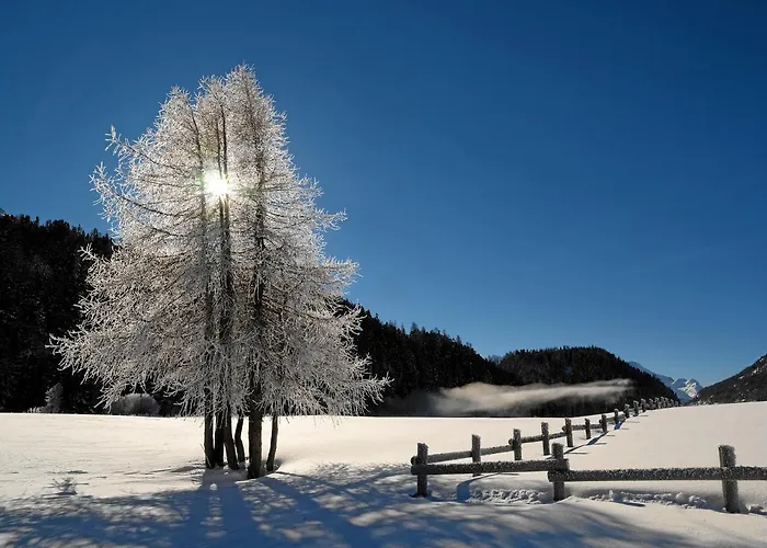 Hotel Chesa Surlej 3*