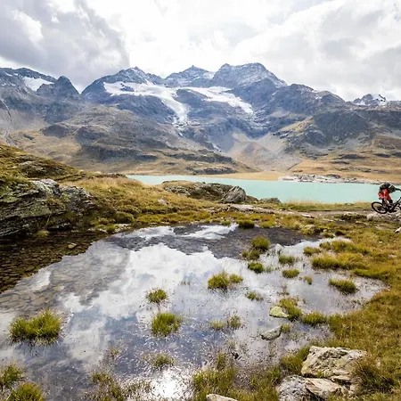 Chesa Surlej 3* סילבפלנה