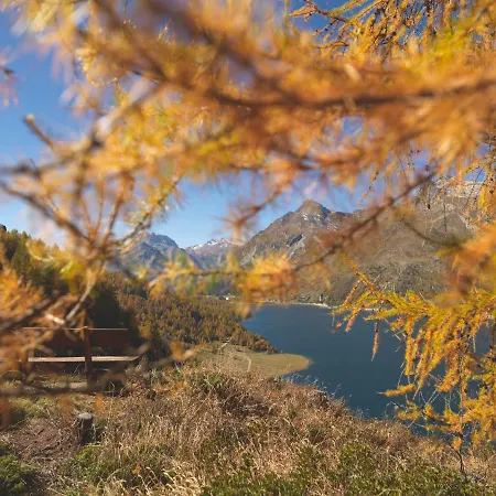 מלון Chesa Surlej 3*