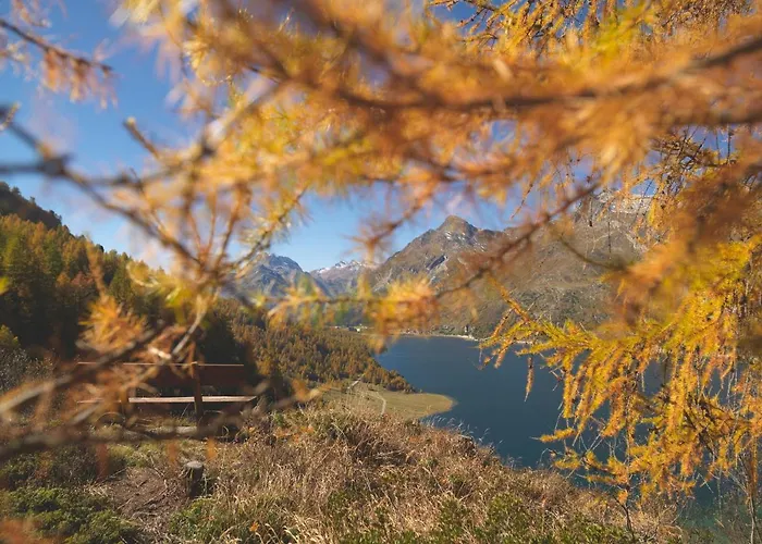 Hotel Chesa Surlej 3*